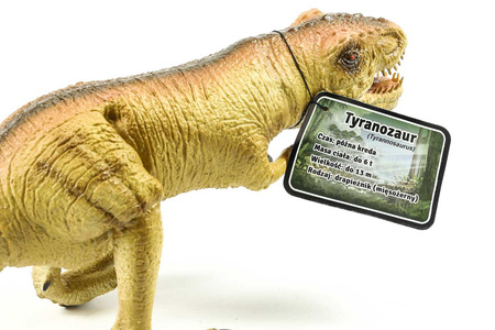 Dinozaur tyranozaur figurka gumowa 50 cm malowana sfera