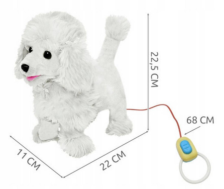 Piesek Pudel Interaktywny Na Smyczy chodzi szczeka
