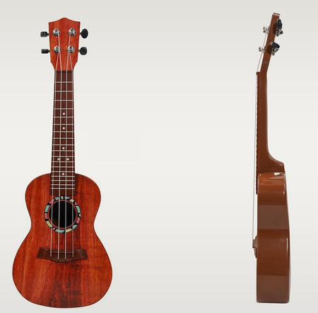 Kids Ukulele Guitar 21 inch Musical Toy Educational Instrument for 3 4 5+ Year Olds Boys Girls Learn to Play 3 COLORS