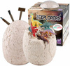 Egg fossil dinosaur XXL fossil dig little archaeologist excavation with tool kit JUMBO Eggs