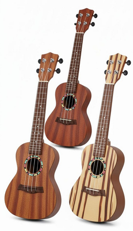 Ukulele dla Dzieci Raimy Pierwsza Gitara Edukacyjna | 3 Style Przodu