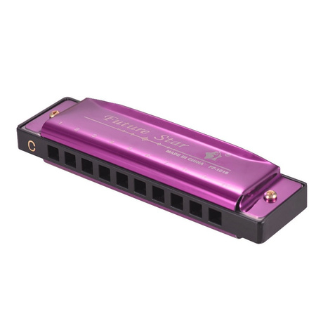 Future Star Harmonica C-Major 10-Hole Blues. Educational Musical Toy for Kids. Ideal Gift + CASE.