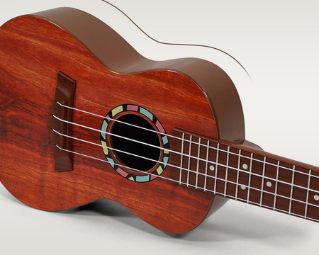 Ukulele dla Dzieci Raimy Pierwsza Gitara Edukacyjna | 3 Style Przodu