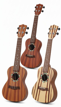 Ukulele dla Dzieci Raimy Pierwsza Gitara Edukacyjna | 3 Style Przodu